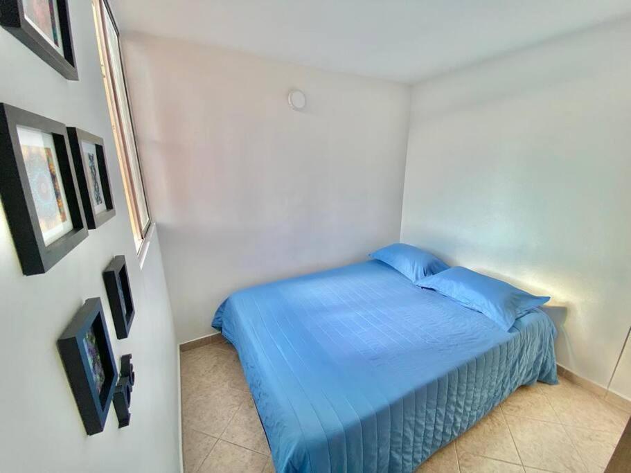 Hermoso Y Acogedor Apartamento Amoblado En Apartamento *
