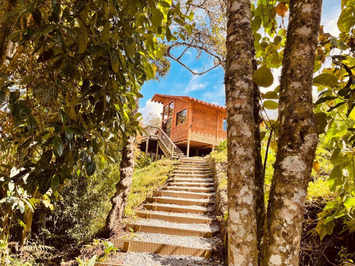 Bruma Blanca Chalet