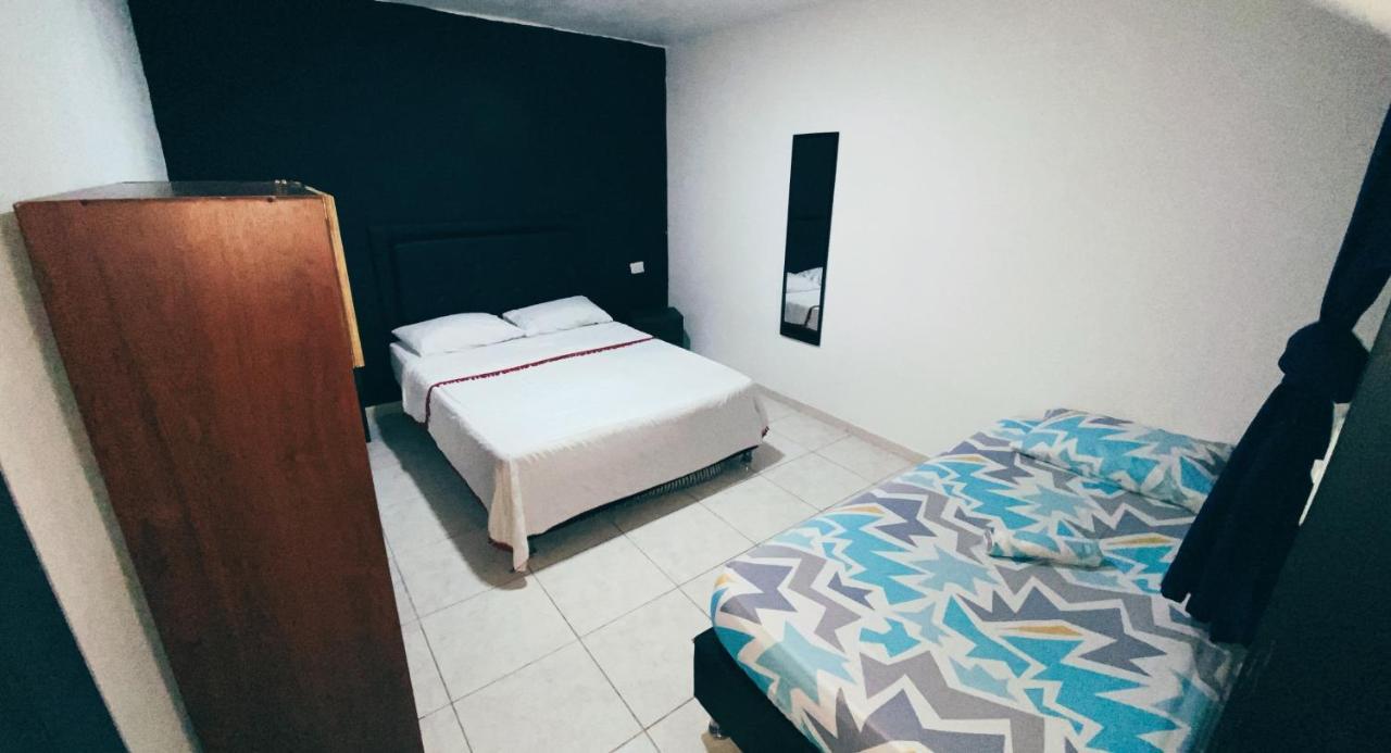 Tiger * Medellín