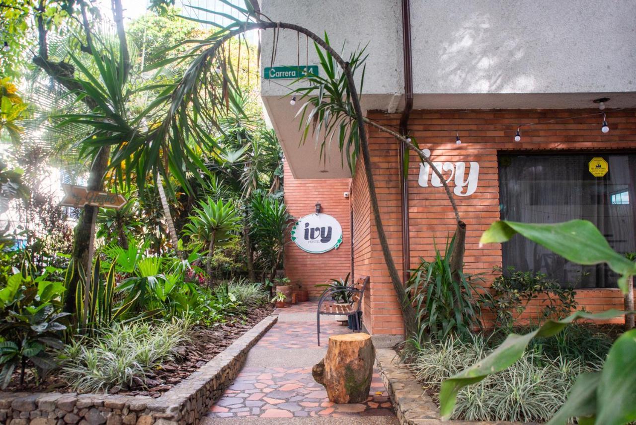 Ivy Hostal Medellín