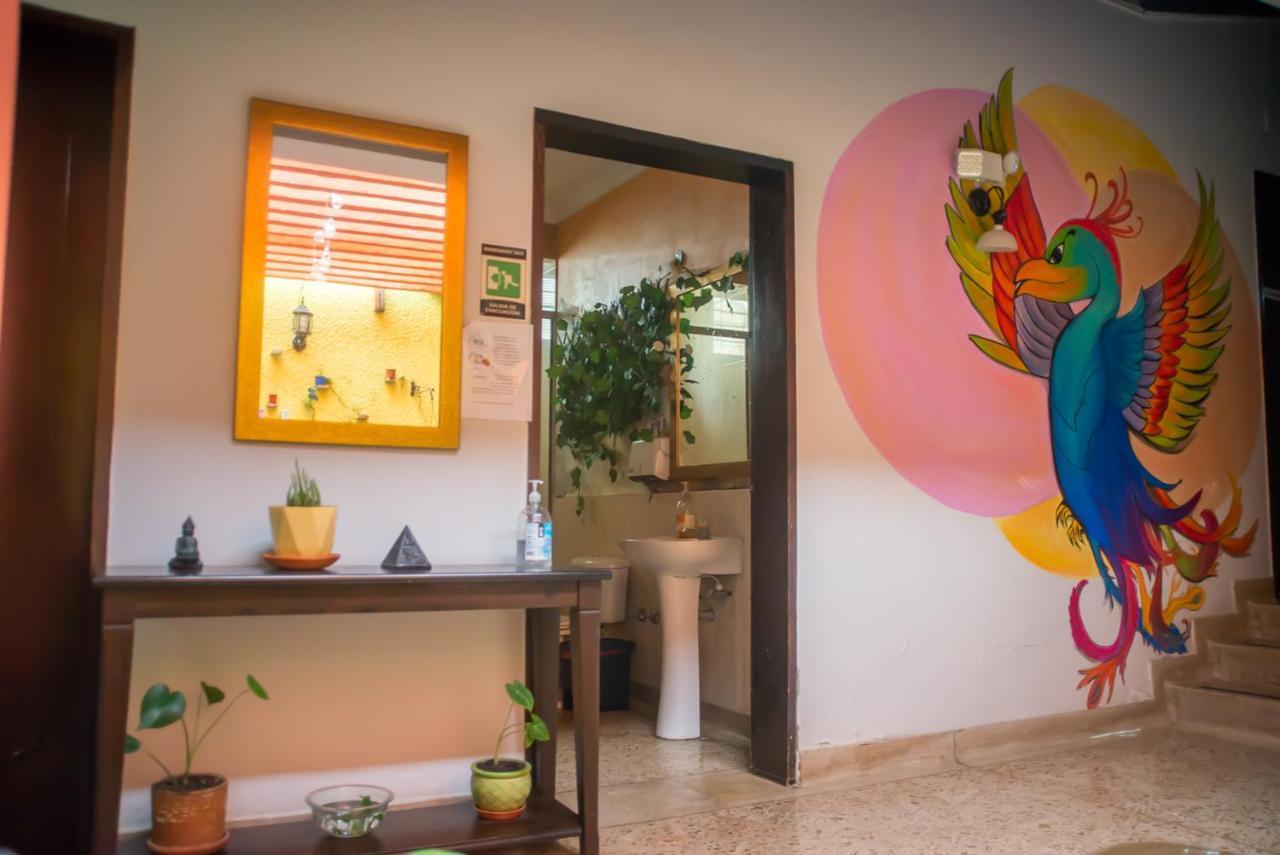 Hostal Ivy *