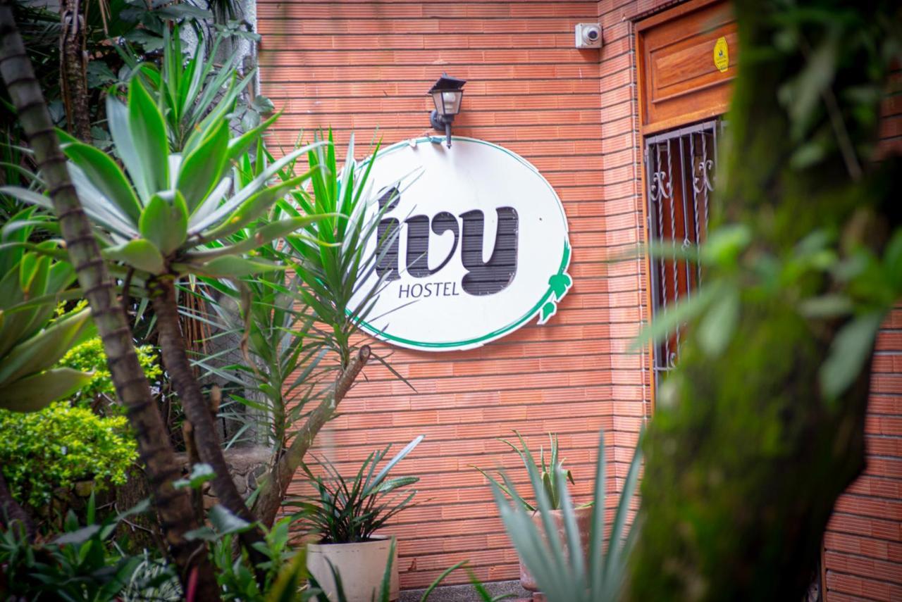 Ivy * Medellín