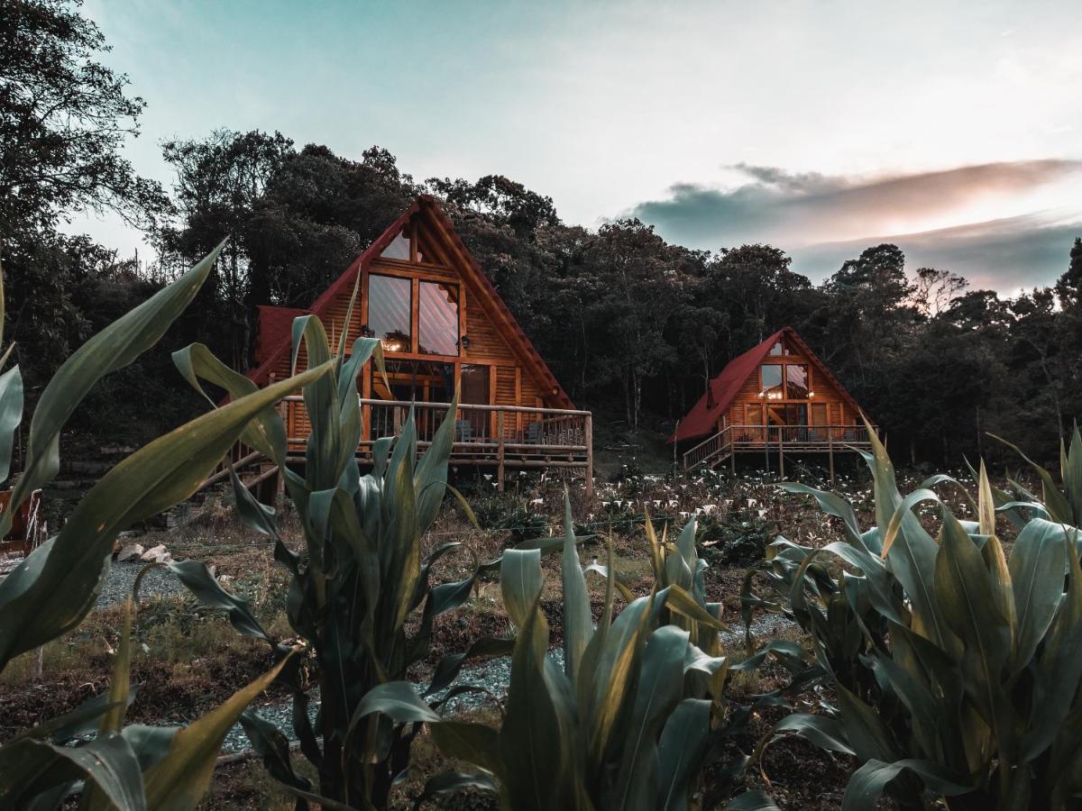 Bruma Blanca Chalet