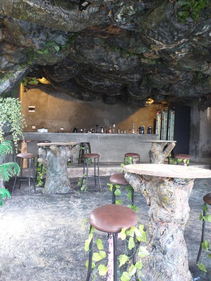 Glamping & Coffee Tour Campo de lujo