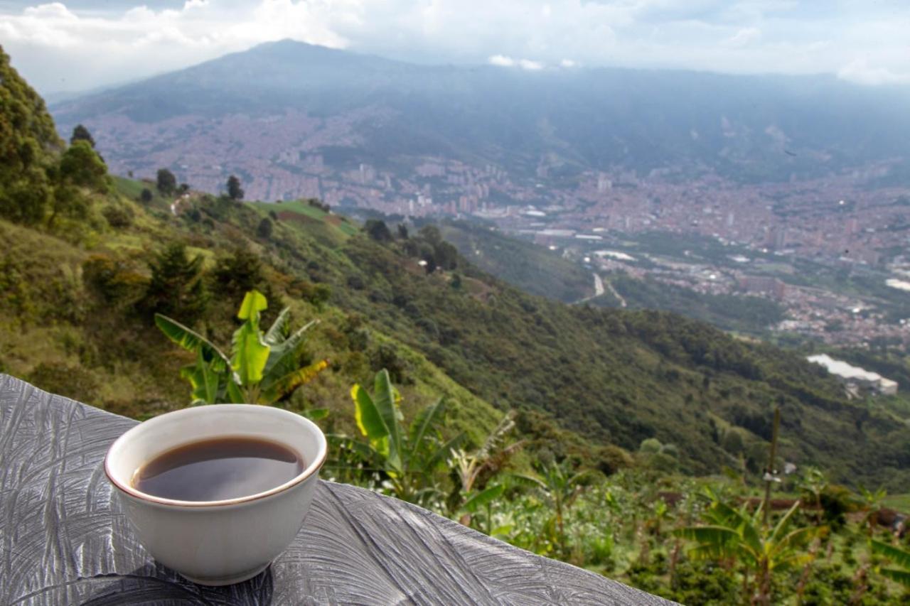 Glamping & Coffee Tour Campo de lujo Medellín