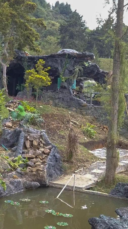 Campo de lujo Glamping & Coffee Tour *