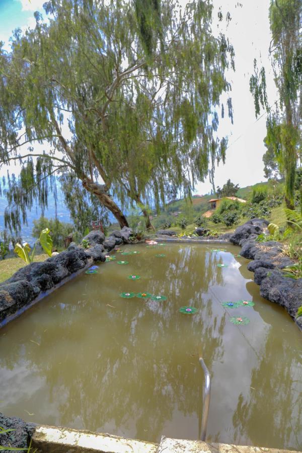 Glamping & Coffee Tour Campo de lujo
