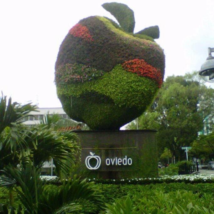 Floor Studio! Poblado, A/c, Coworking, Gym 1416