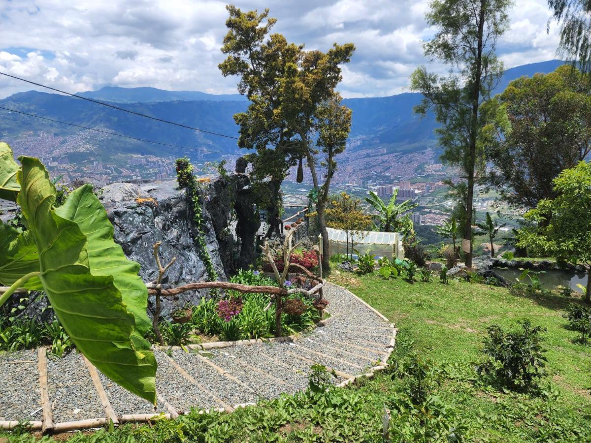 Glamping & Coffee Tour
