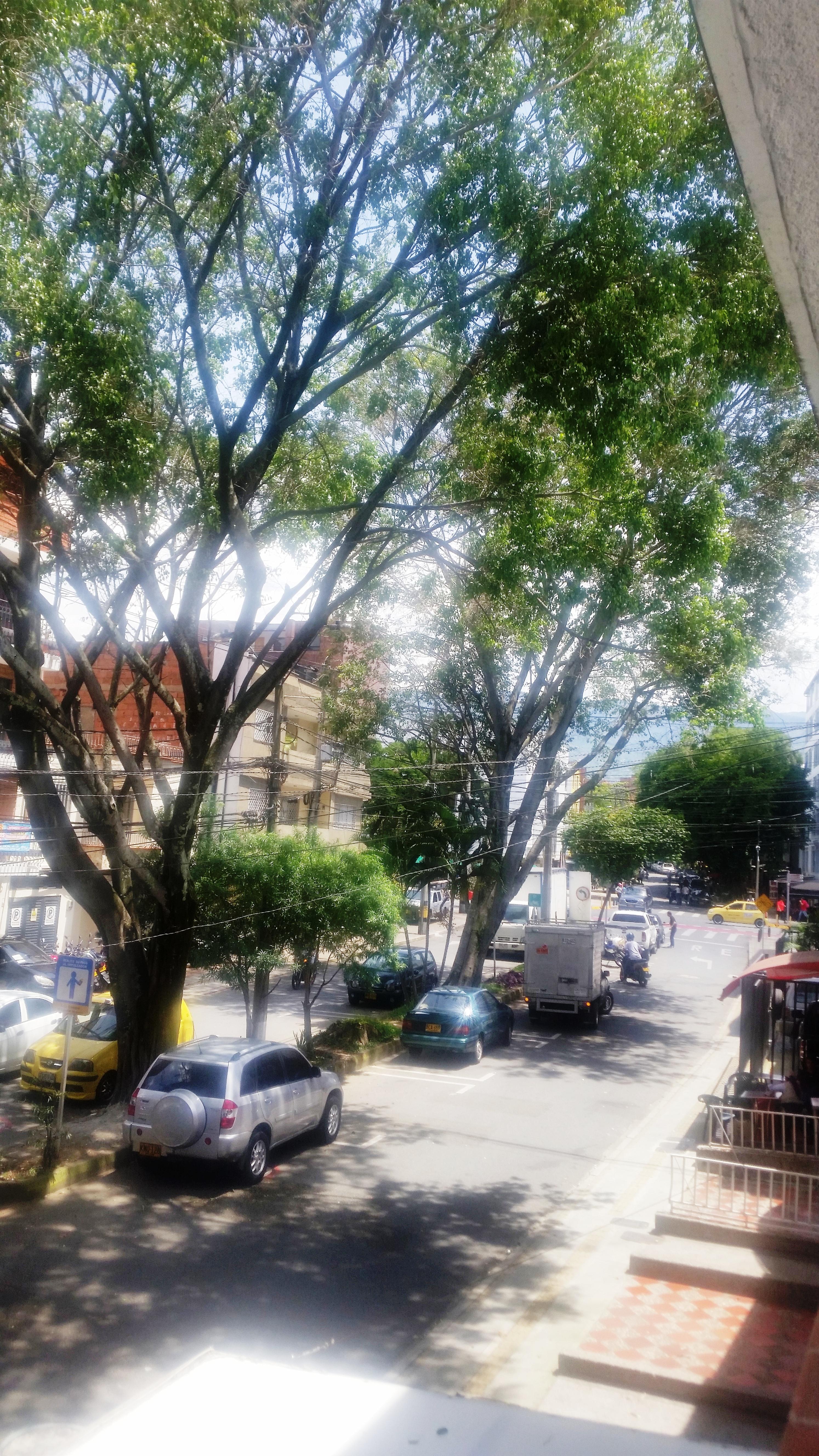 Hotel Quinta Avenida