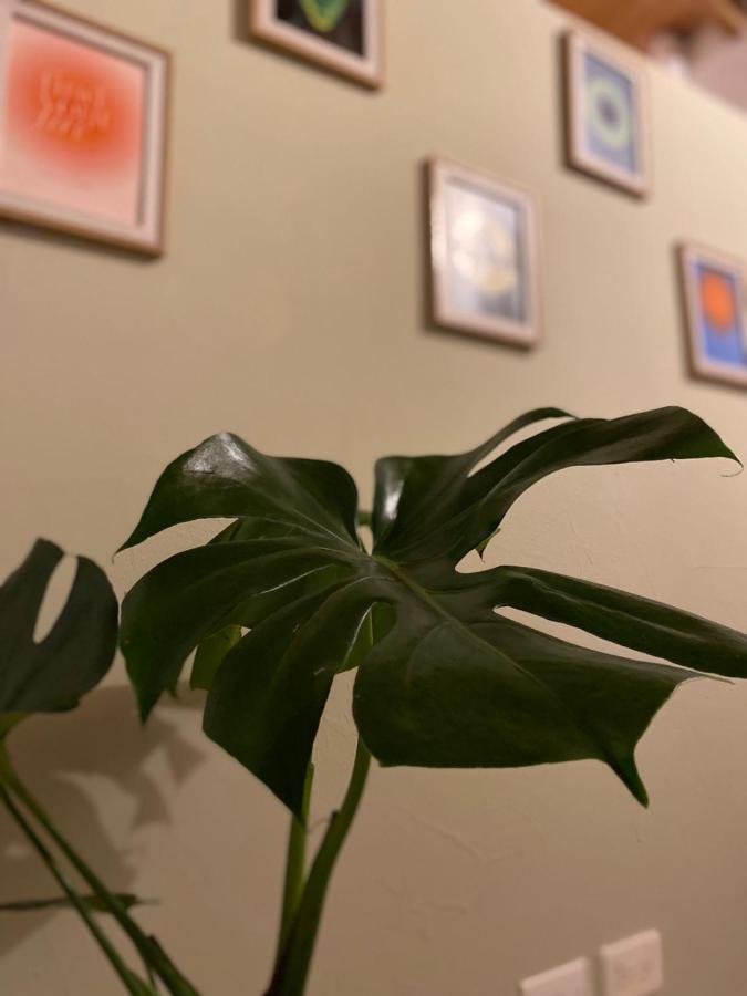 Apartamento Subotanico Poblado, *