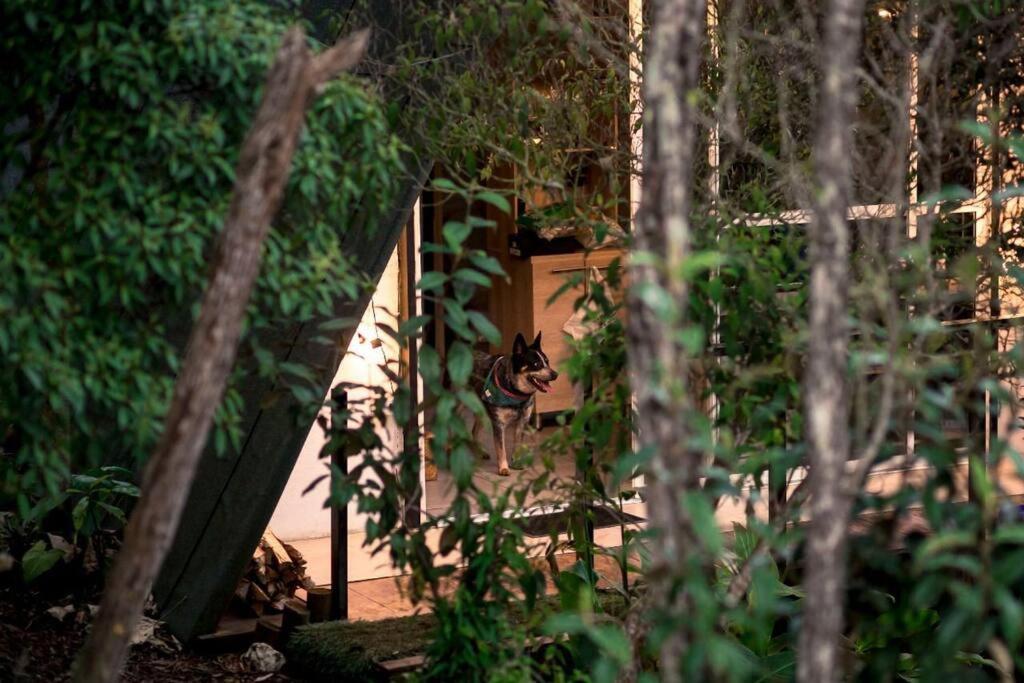 Chalet Entrenubes *