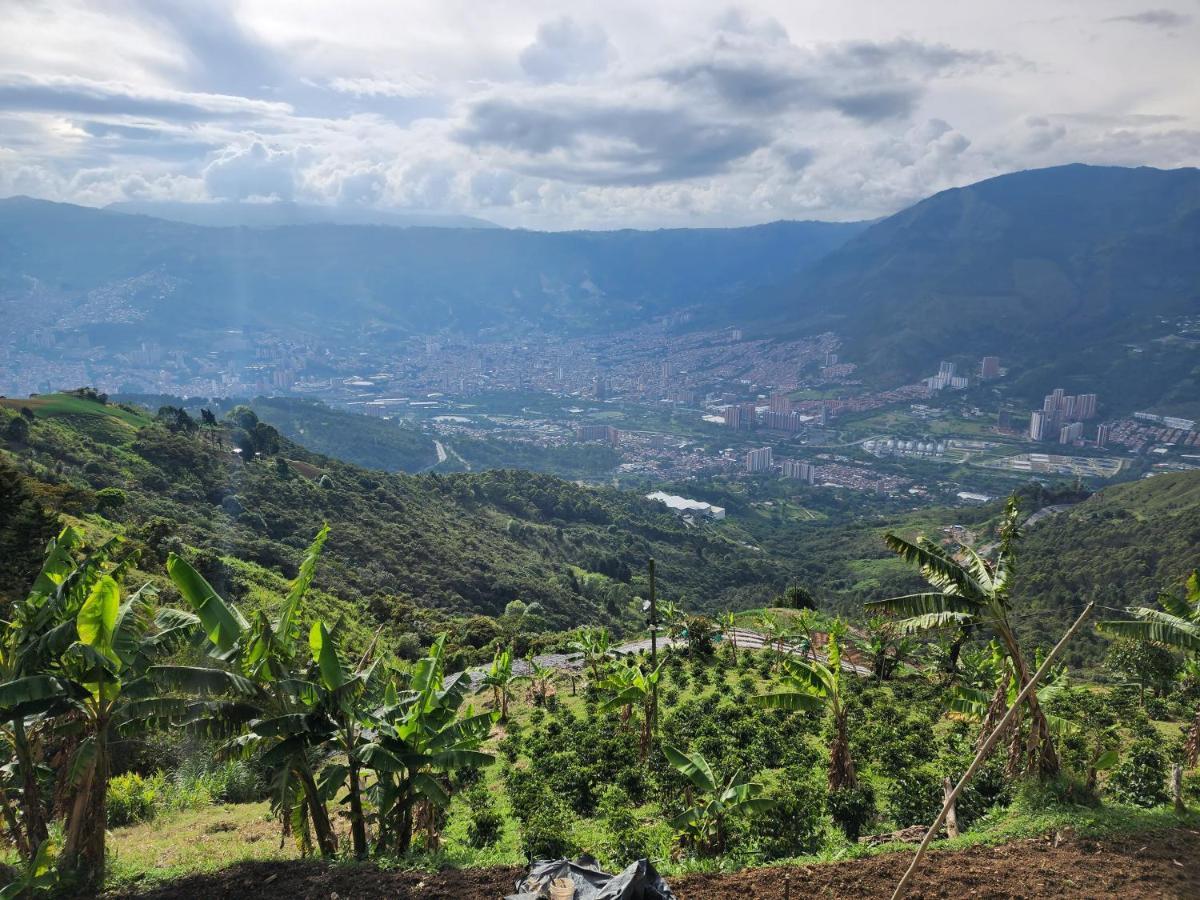 Glamping & Coffee Tour * Medellín