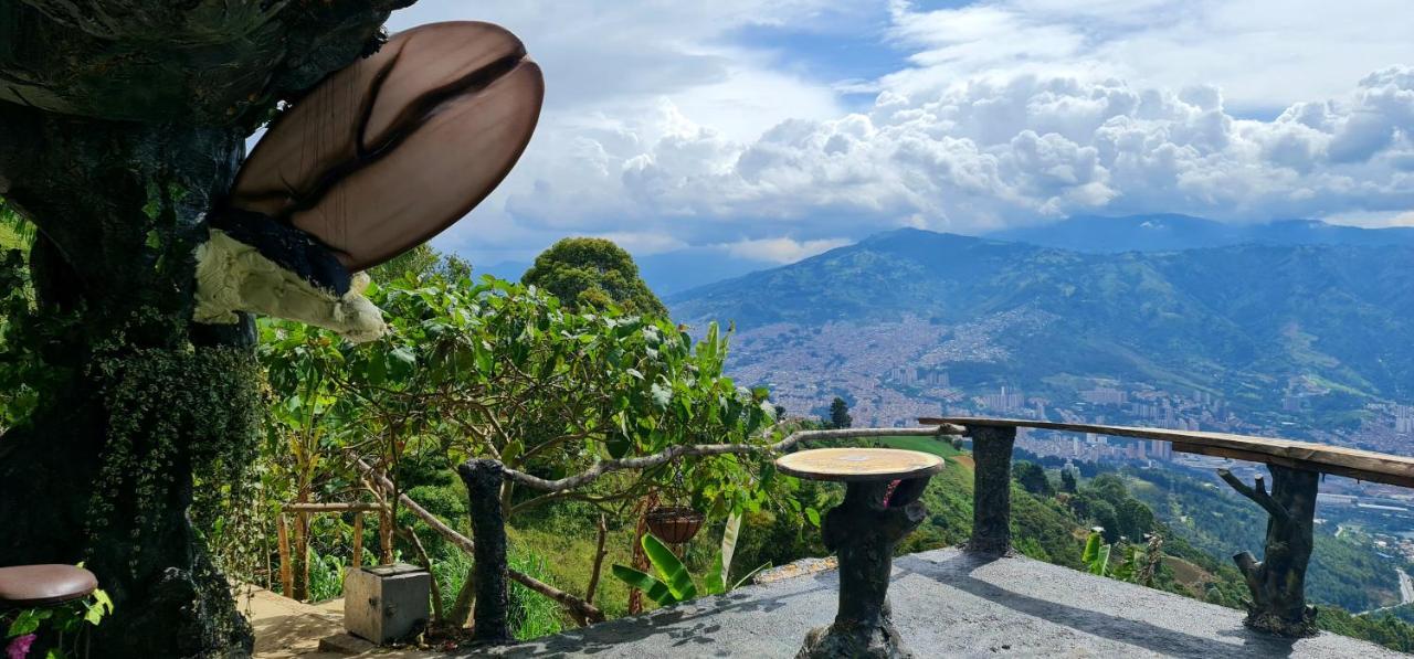 Campo de lujo Glamping & Coffee Tour Medellín