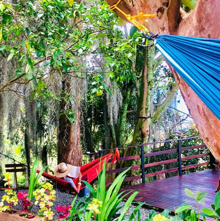 Hostal Casa La Juana Bed and breakfast *