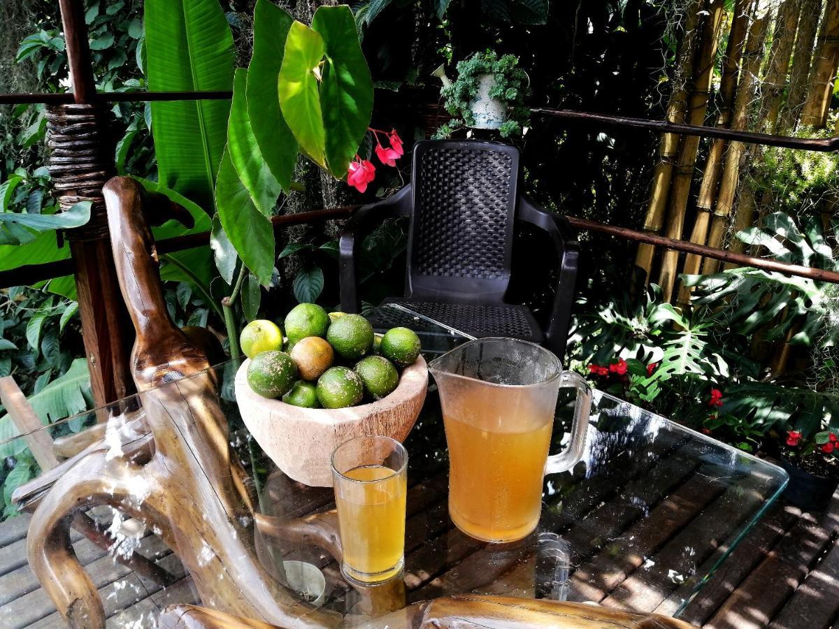 Bed and breakfast Hostal Casa La Juana *