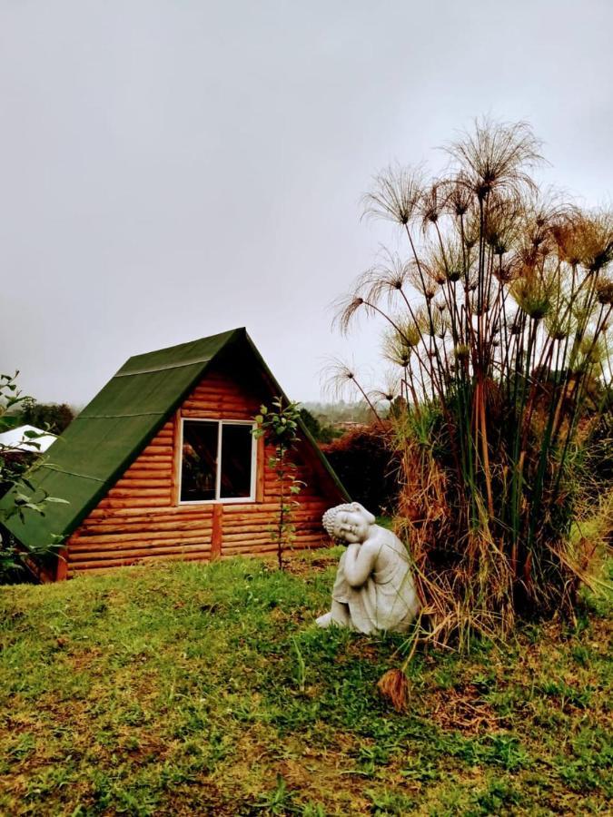 Behappy Glamping Camping Medellín