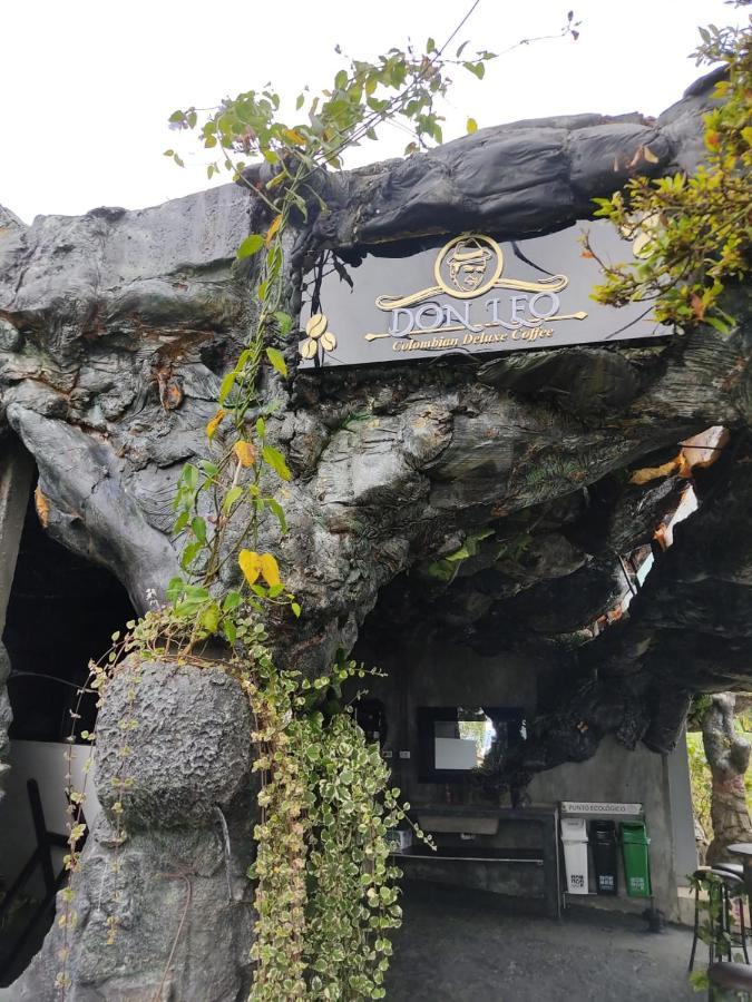 Campo de lujo Glamping & Coffee Tour *