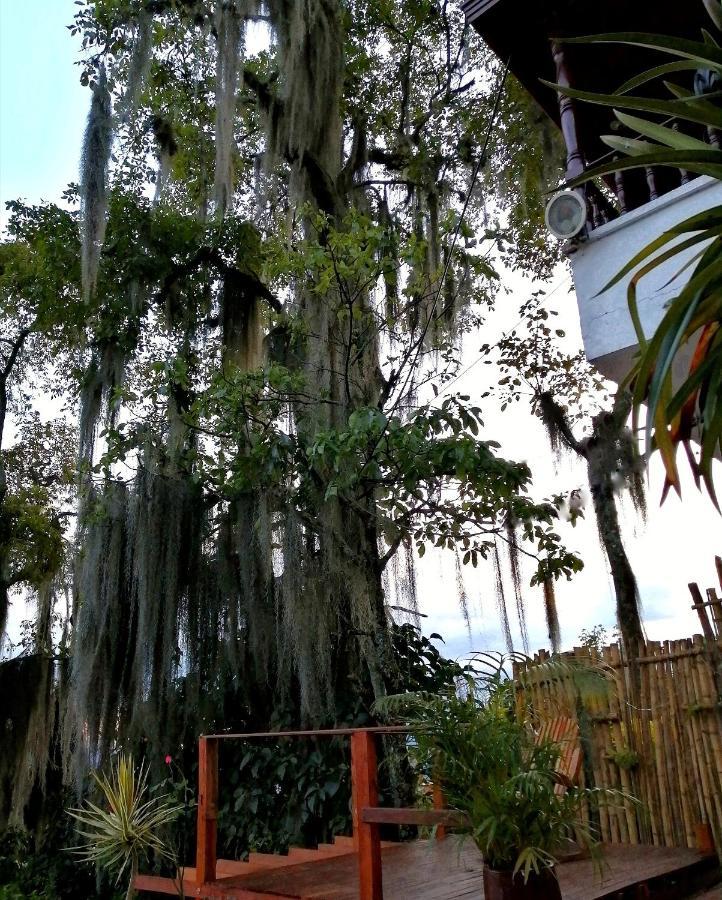 Hostal Casa La Juana Bed and breakfast