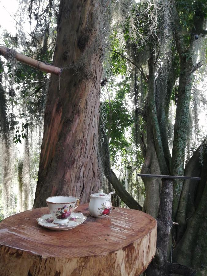 Hostal Casa La Juana Bed and breakfast *