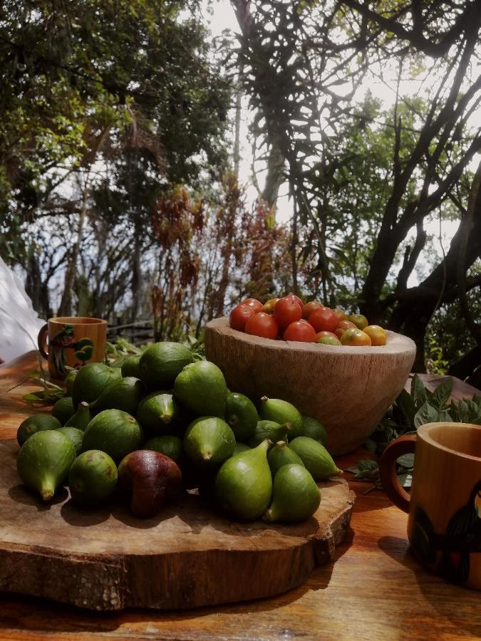 Hostal Casa La Juana Medellín