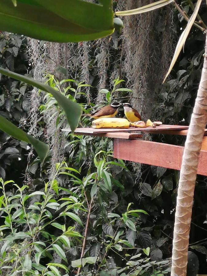 Hostal Casa La Juana Medellín