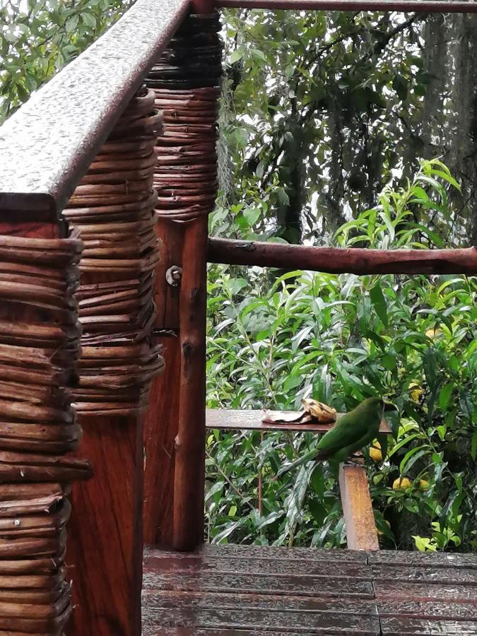 Hostal Casa La Juana Bed and breakfast