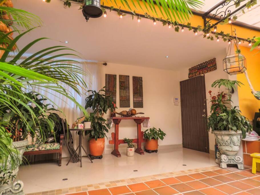 Elegante Pent-house En Cuarto Piso