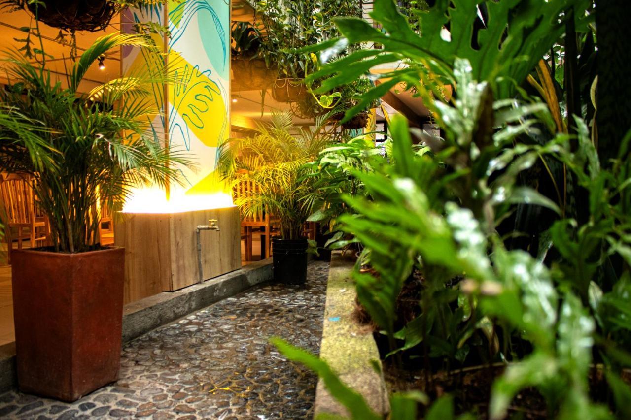 Hotel Natural 3*