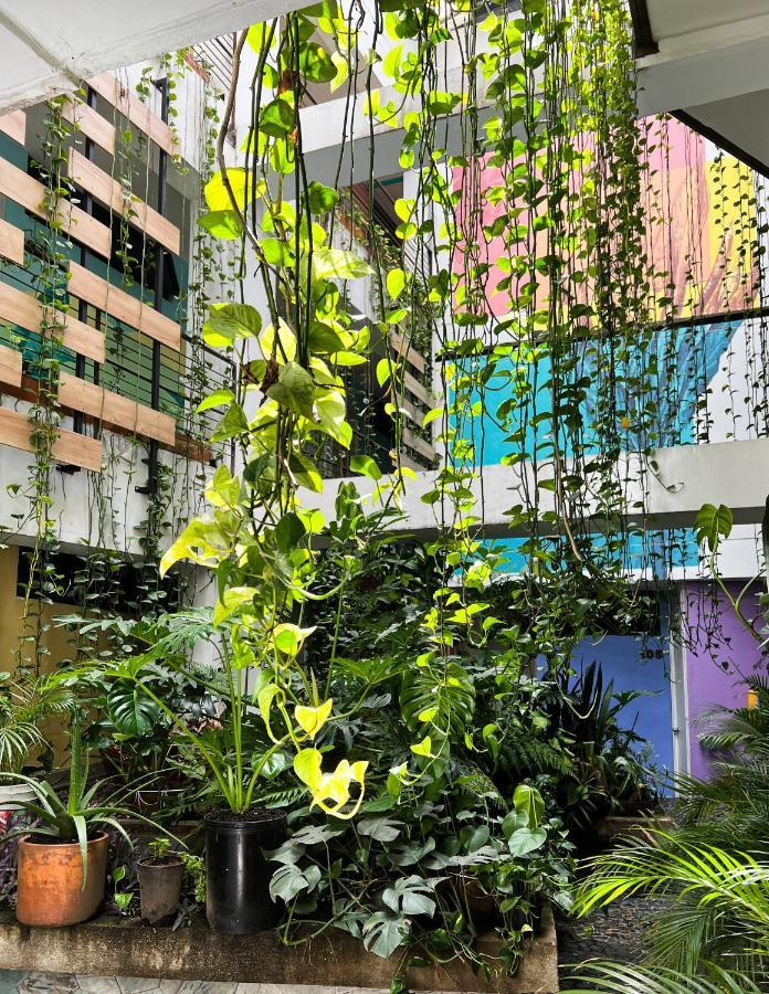 Natural 3* Medellín