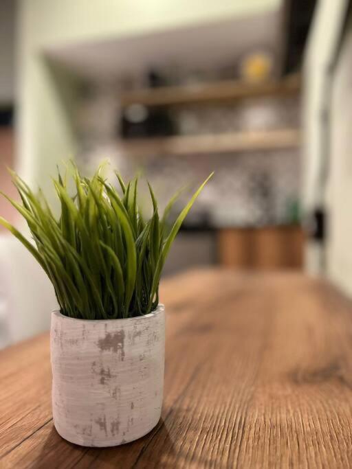 Apartamento Inmueble Cerca Al Estadio Nid204 By Roots Medellín