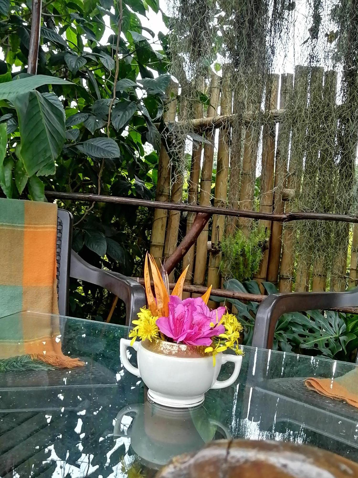 Bed and breakfast Hostal Casa La Juana Medellín
