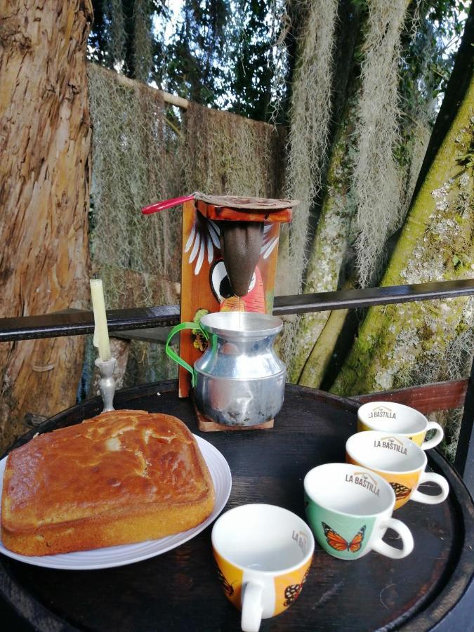 Bed and breakfast Hostal Casa La Juana *