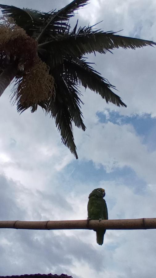 Pensión Bosques Del Rio