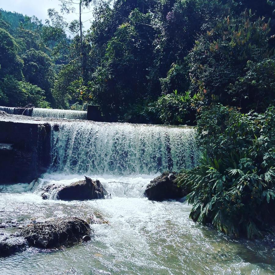 Bosques Del Rio Pensión Medellín