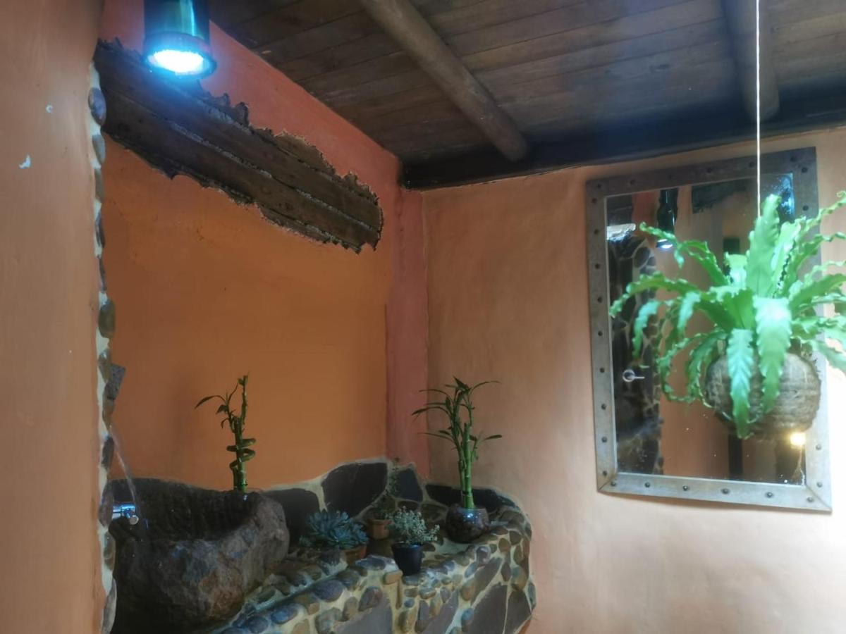 Botanico Guest house Medellin