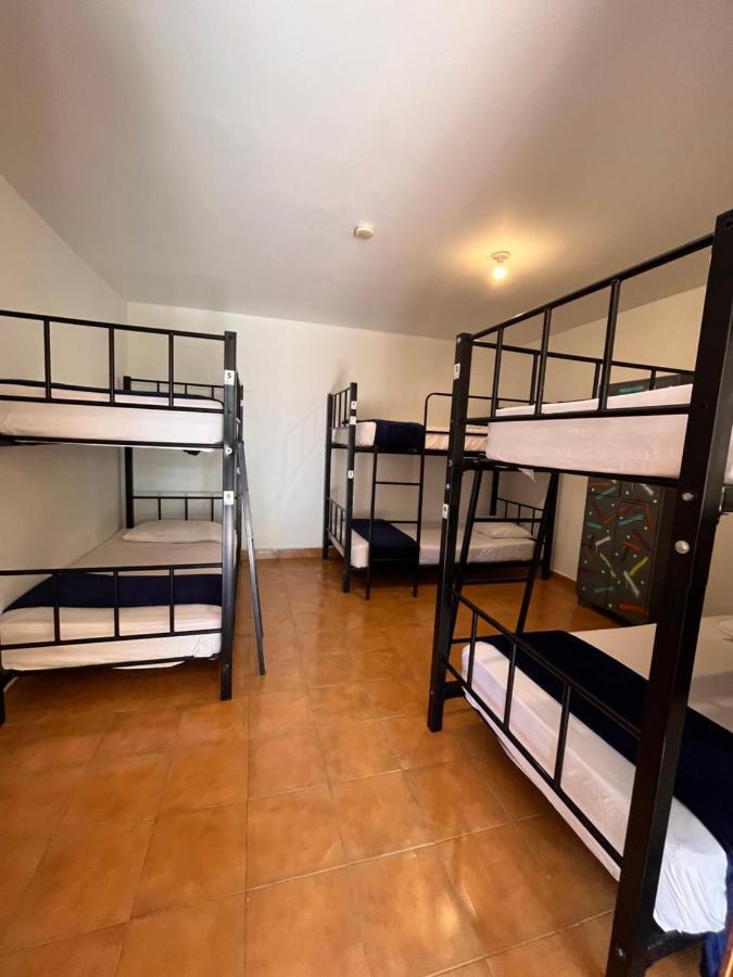 Hostel Yolo *