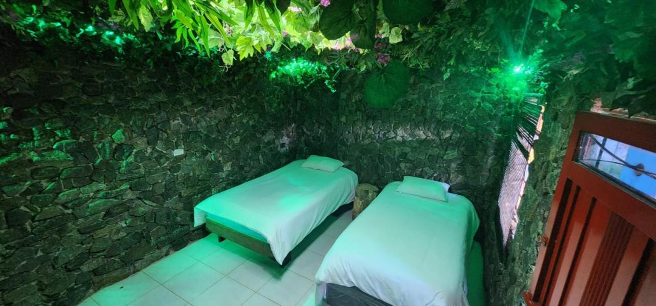 Glamping & Coffee Tour Campo de lujo *