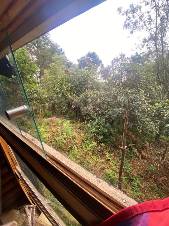 Chalet Ecoaldea, Cabana En La Naturaleza *