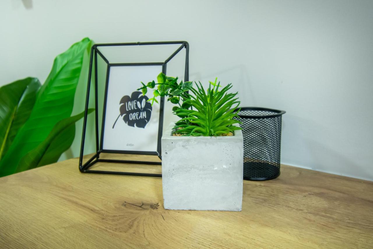 Barcelo Coliving Apartamento *
