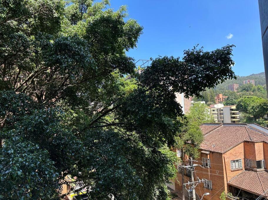 Apartamento Exclusivo Loft En El Poblado-rodeado De Naturaleza 501