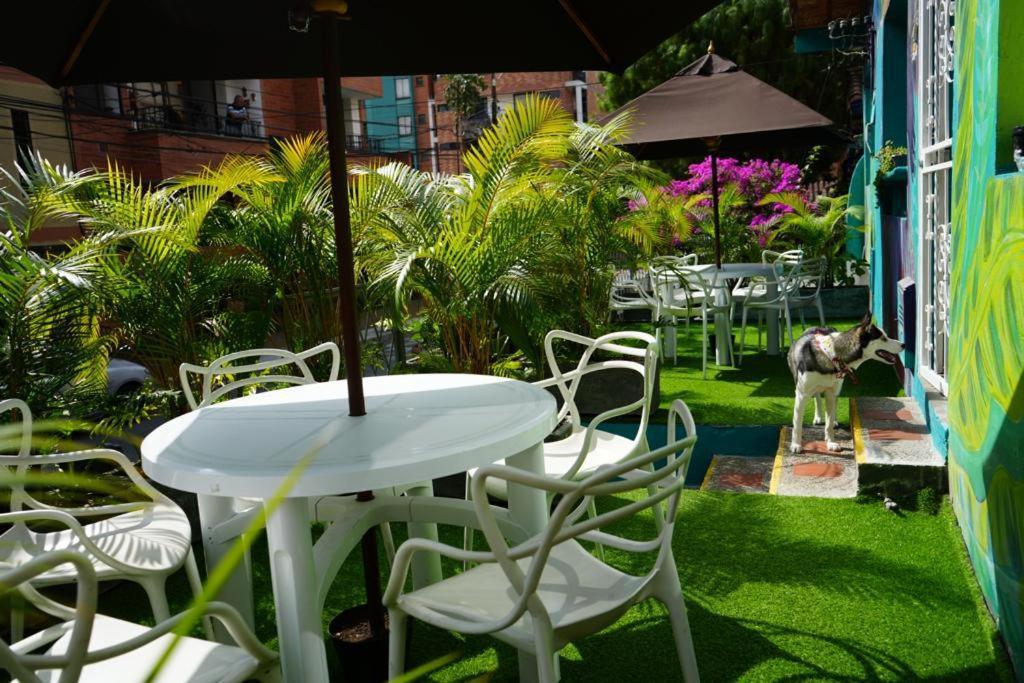 Gastón Coliving Medellín