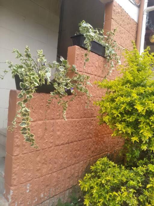 Apartamento Hermoso Apartamento Para Estrenar