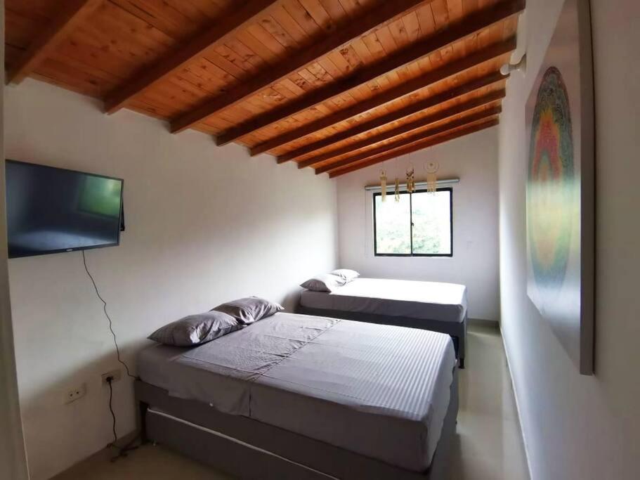 Mandala: Oasis De Paz Y Armonia