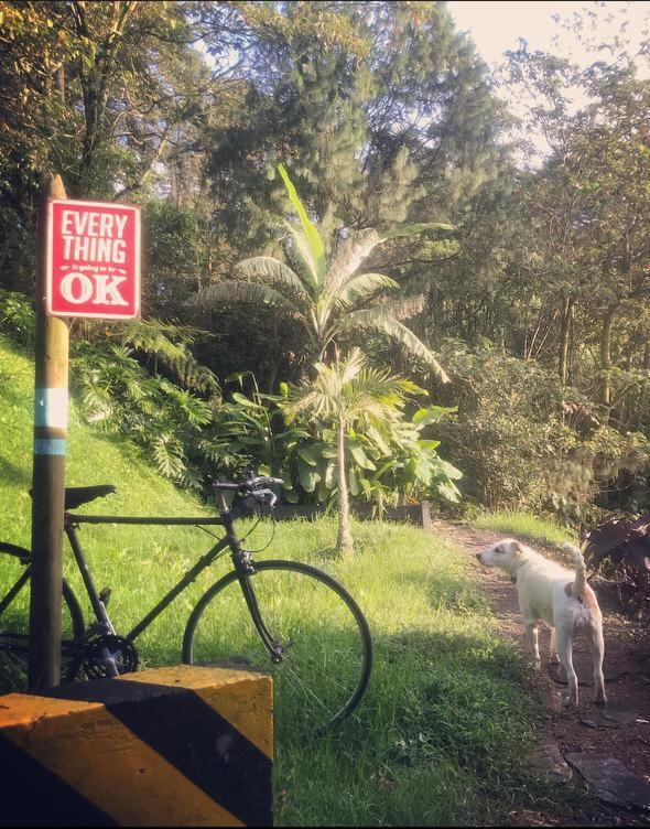 Zona Libre Campestre * Medellín