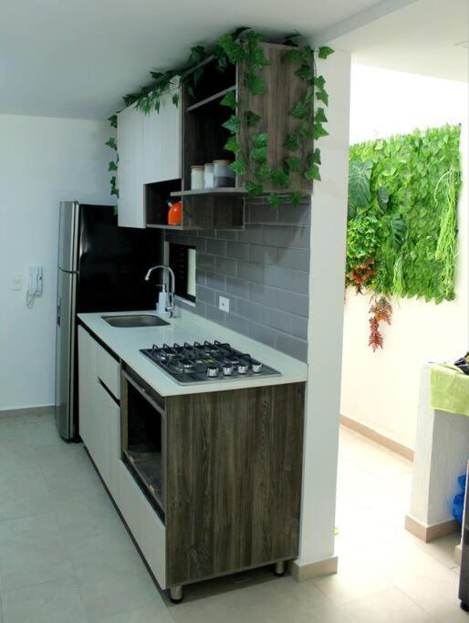 Nativo House Amplio Y Acogedo Apartment *