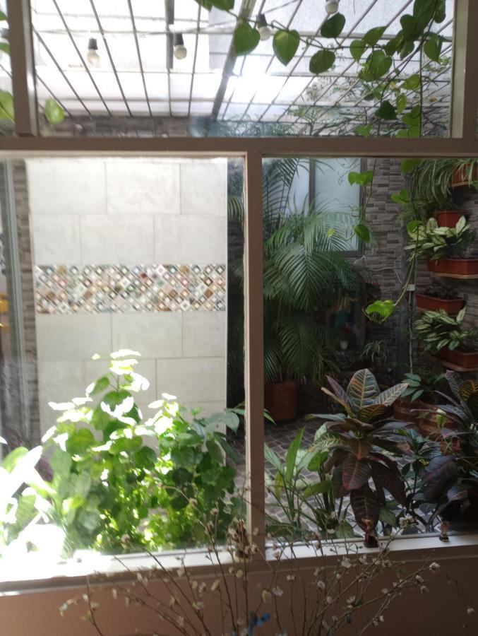Noras Laureles *