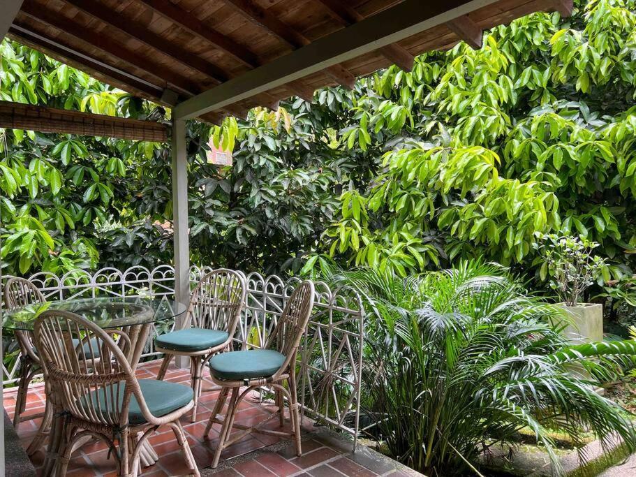 Apartamento Apto Br 6 Min De Provenza, Encanto Natural