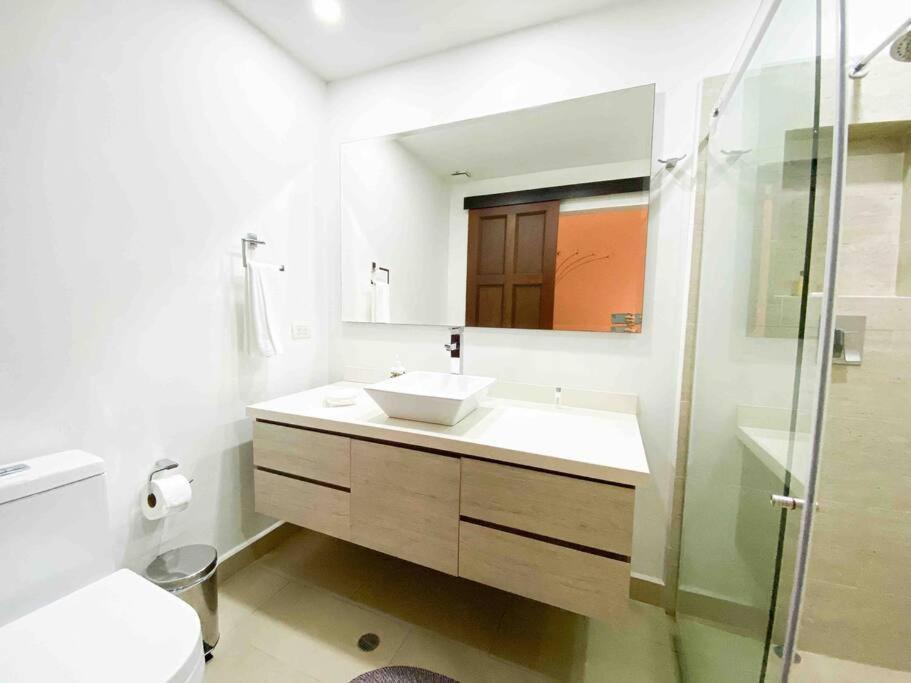 Mansion Br Piscina, Jacuzzi, 6 Min De Provenza Villa Medellín