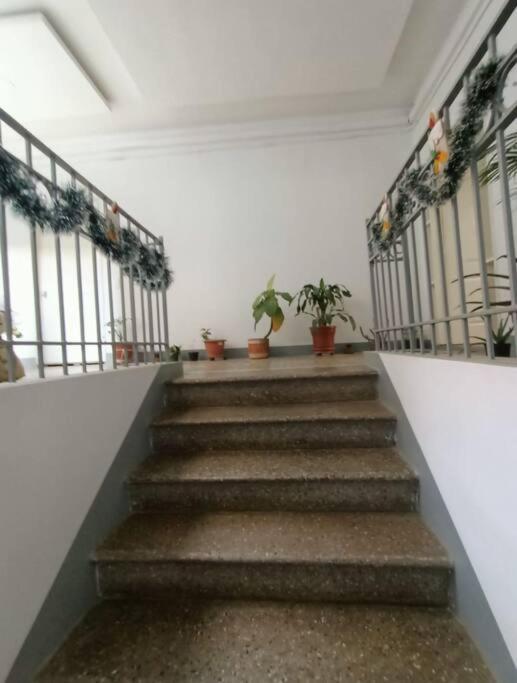 Apartamento Clasico En El Centro *